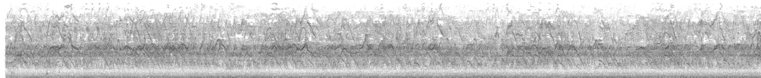 Dendrocygne d'Eyton - ML469600711