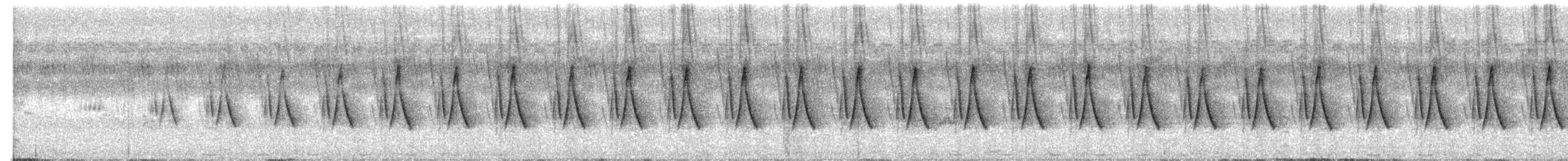 Dschungelprinie - ML469633931