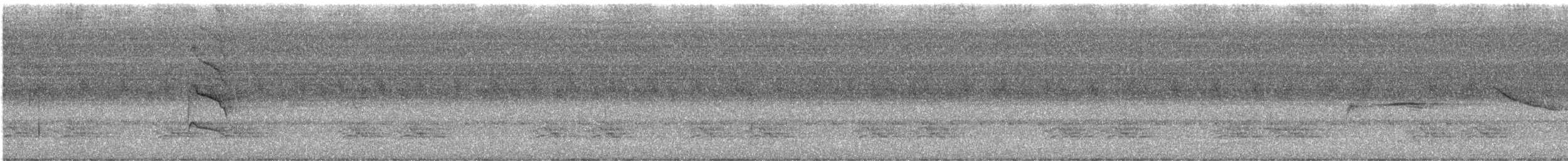 Yellow-browed Camaroptera - ML469728591