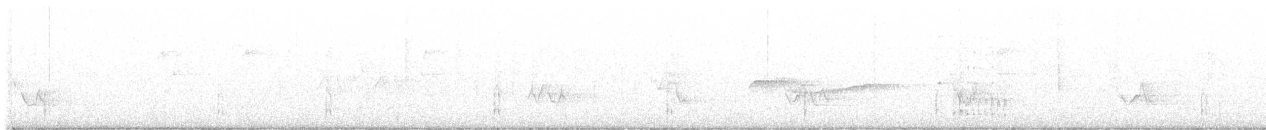 indianerspett (villosus gr.) - ML469764831