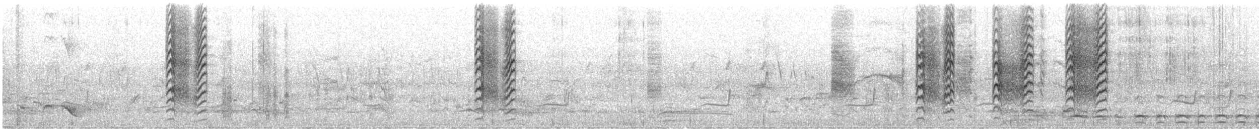 Karaca Örümcekkuşu - ML469836451