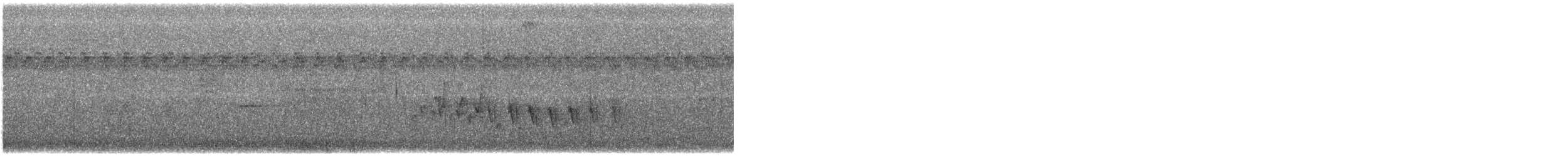 Northern House Wren - ML469848371