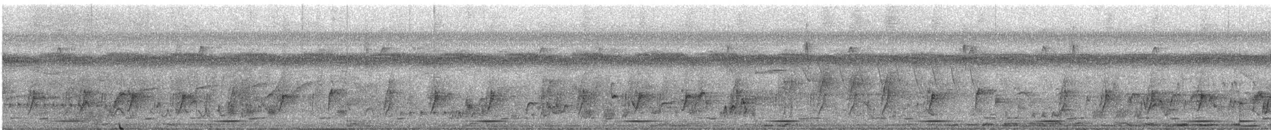 Lowland Sooty Boubou - ML469848861