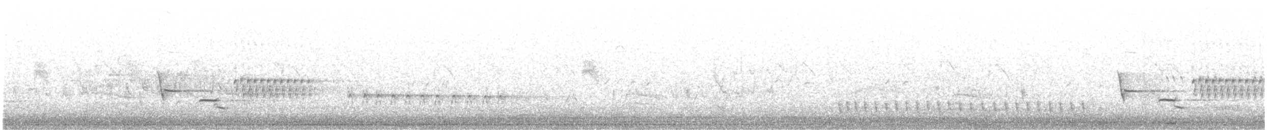 Тауї плямистий x східний - ML469854091