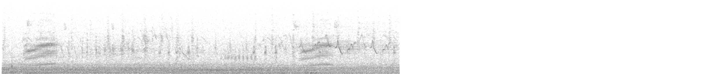 Тауї плямистий x східний - ML469854131