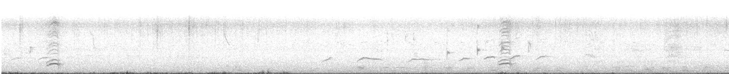 White-necked Thrush - ML469872011