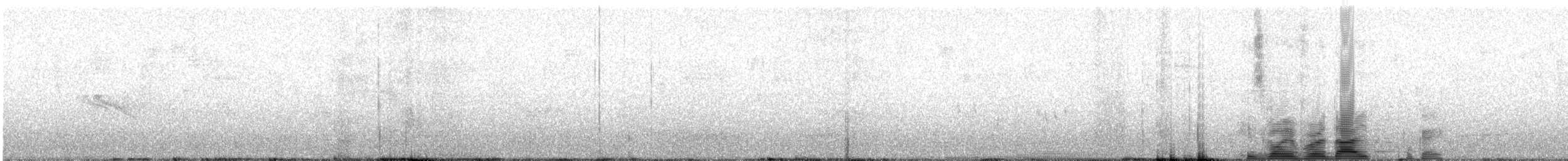 Volcano Hummingbird - ML469918361