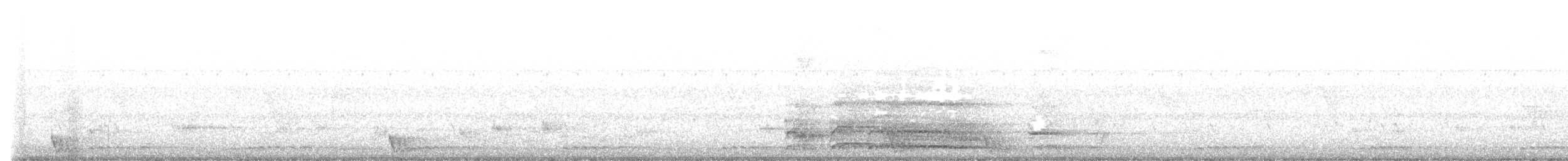 Large-tailed Nightjar - ML469934321