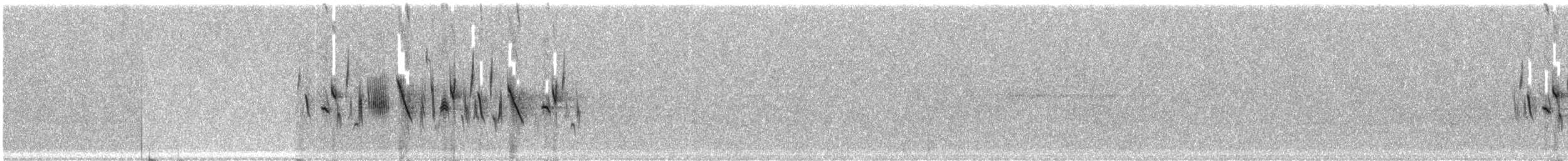 Шалфейная овсянка - ML469964231