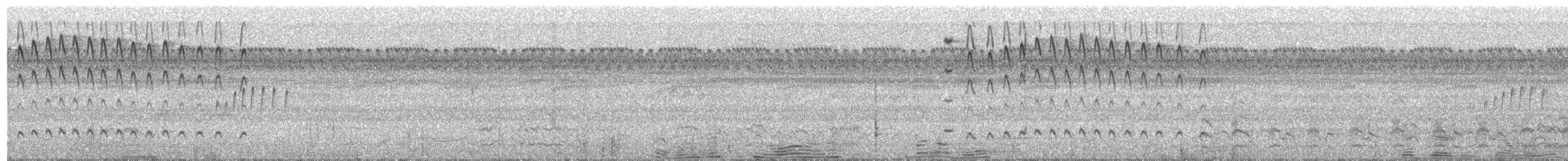 Green-tailed Goldenthroat - ML469977551