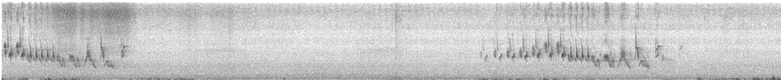 Txonta arrunta - ML469999191