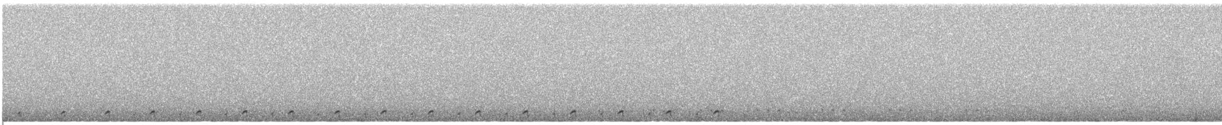 Least Seedsnipe - ML470064761