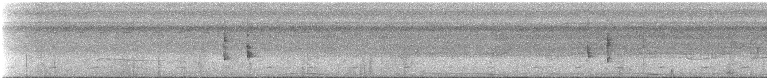 White-throated Crake - ML470113961