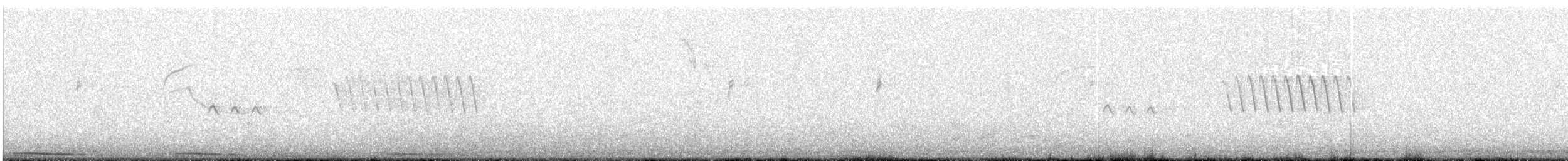 Калифорнийская кукушка-подорожник - ML47012911
