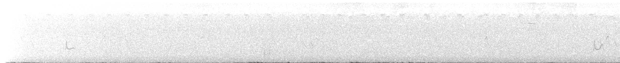 tyranovec olšový - ML470144821