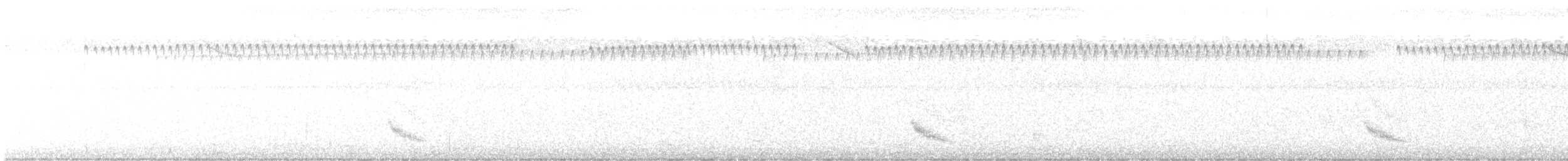 ビリーチャツグミ - ML470144891