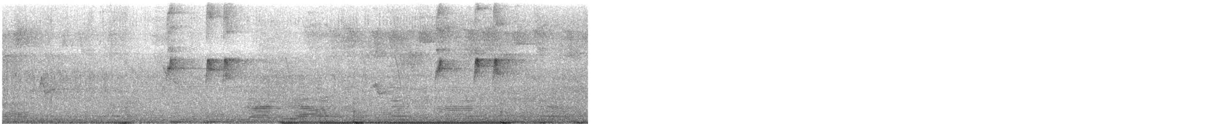 Todirostre à tête grise - ML470159241