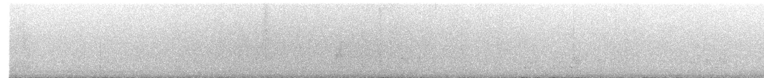 Черная райская мухоловка - ML470163221