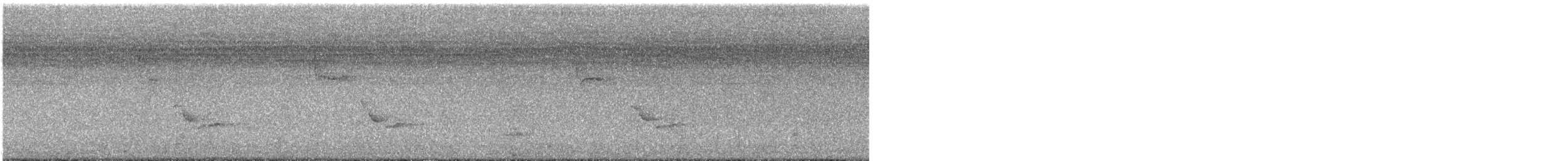 Поплітник каролінський - ML470171831