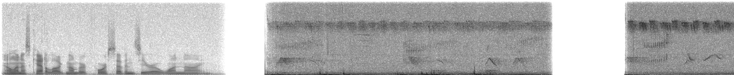 Braunstirn-Brillenvanga - ML47019