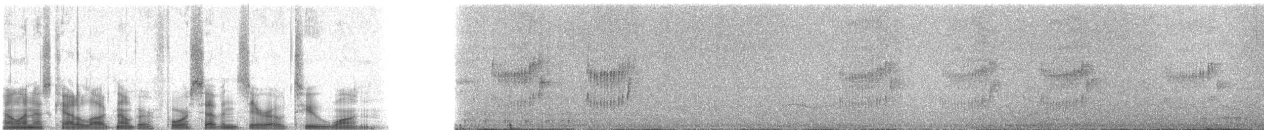 Braunstirn-Brillenvanga - ML47021