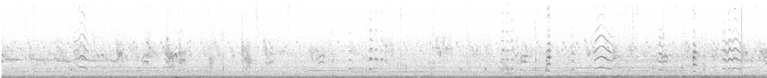 Black-tailed Godwit - ML470228731