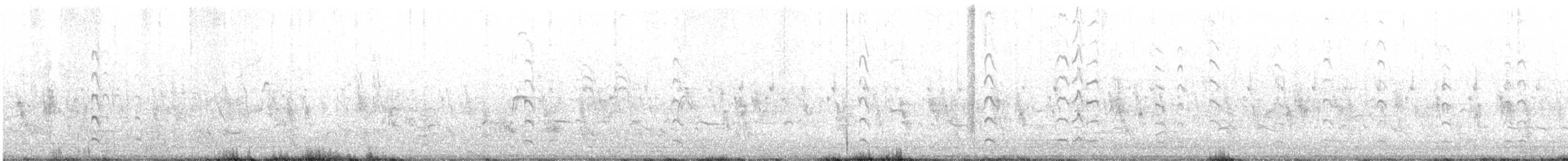 Black-tailed Godwit - ML470228741