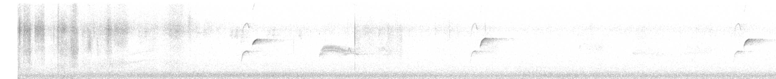Batı Amerika Sinekkapanı (occidentalis/hellmayri) - ML470229861
