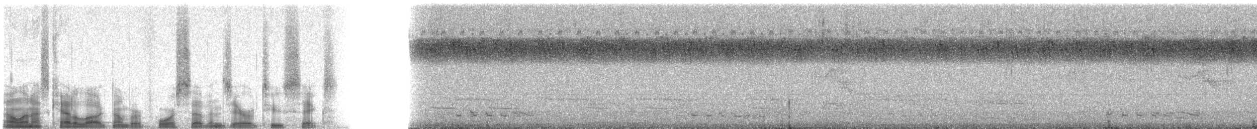 Güneyli Çizgili Yılan Kartalı - ML47026