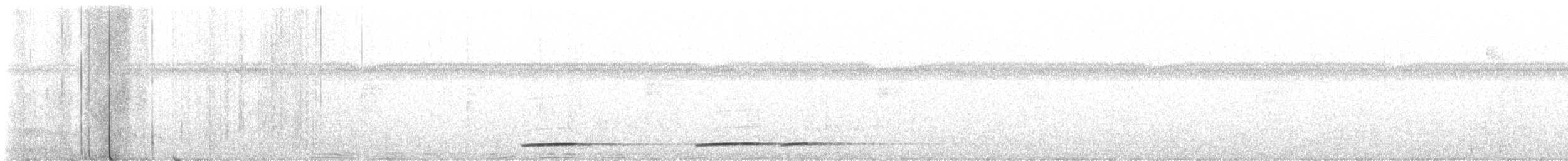 Undulated Tinamou - ML470272281