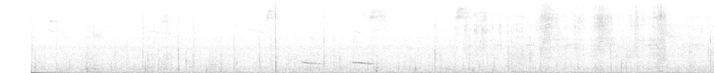 Trogon rosalba - ML470286611