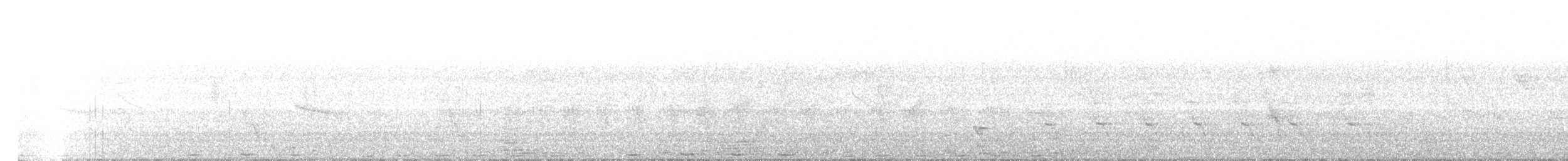 Коукал рудокрилий (підвид parroti) - ML470292391
