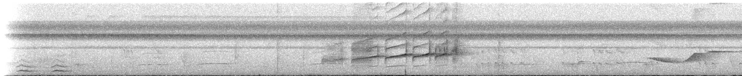 Пласкодзьоб західний - ML470308611