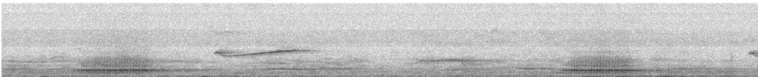 strakapoud americký [skupina villosus] - ML470347821