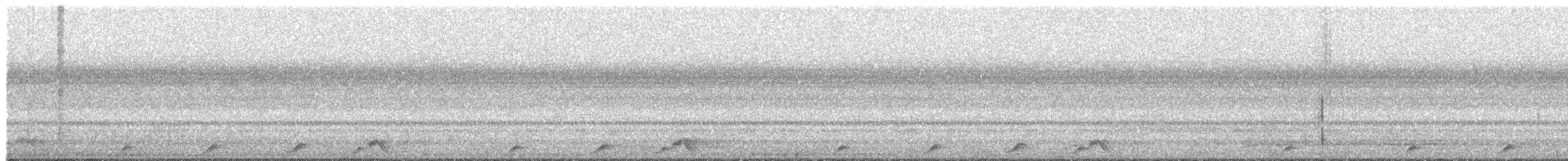 Pauraquenachtschwalbe - ML470349561