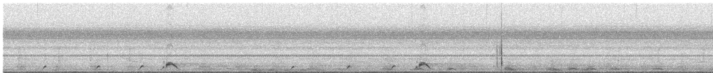 Pauraquenachtschwalbe - ML470349571