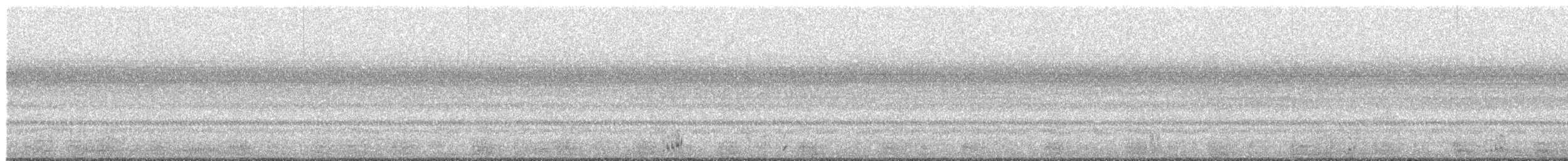 Pauraquenachtschwalbe - ML470349581