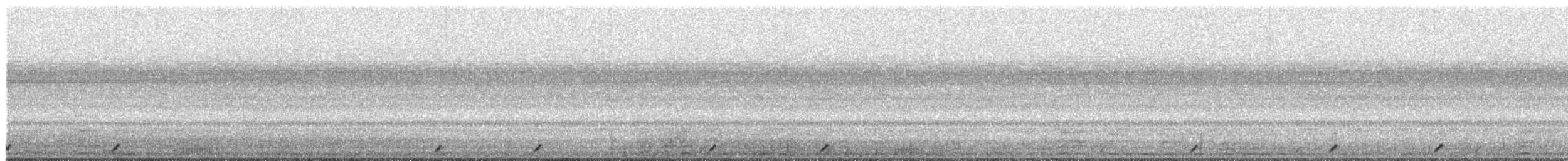 Pauraquenachtschwalbe - ML470349591