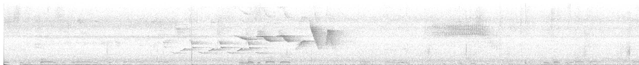 Reinita de Swainson - ML470355271