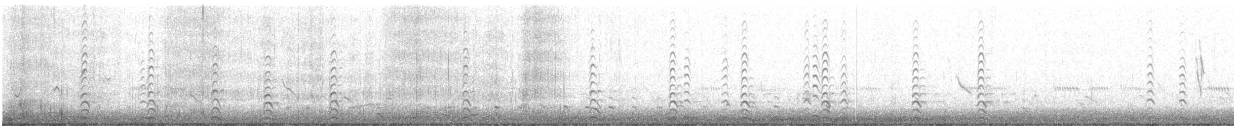 Schwarznacken-Stelzenläufer - ML470358621