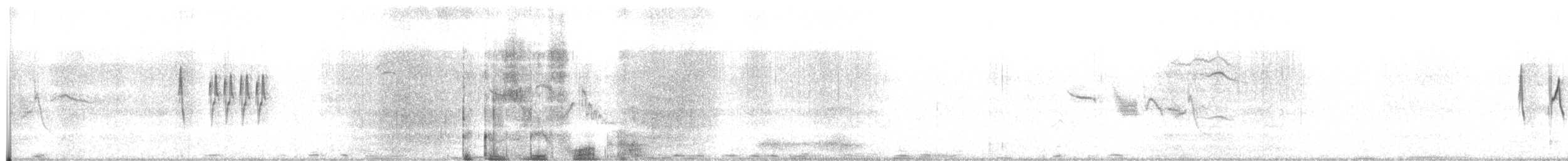 skrentsanger (affinis/perflavus) - ML470394401