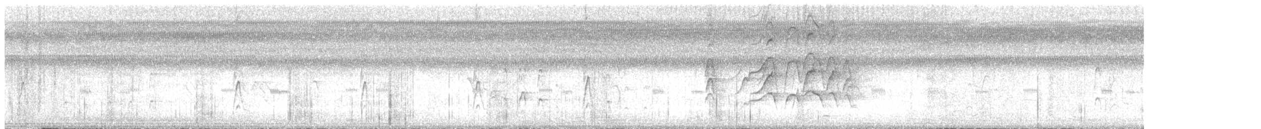 Kara Karınlı Islıkçı Ördek - ML470458171