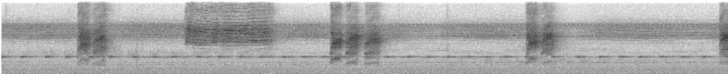 Black-headed Paradise-Flycatcher - ML470469651