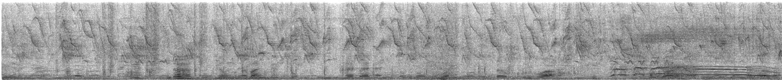 Vieillot's Black Weaver - ML470470041