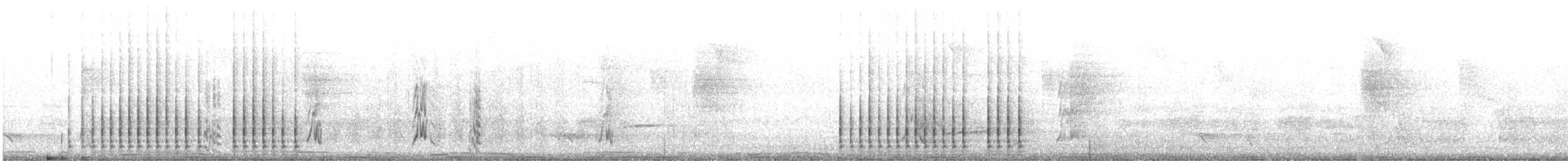 Picumne frangé - ML470481881