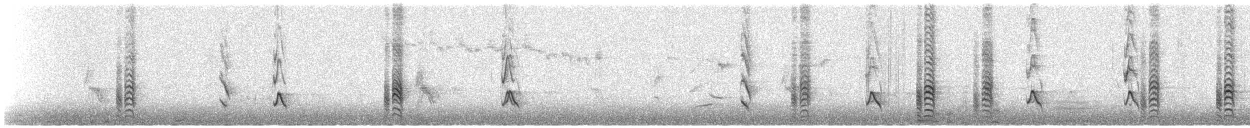Austral Blackbird - ML470495201