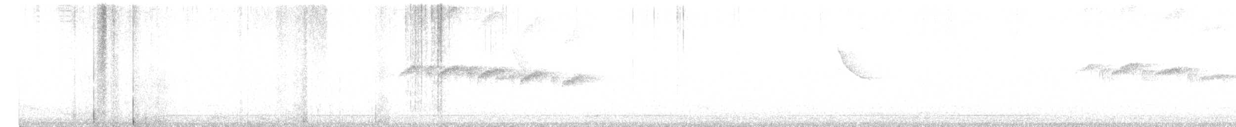 Schwarzkehl-Ameisenvogel - ML470497281