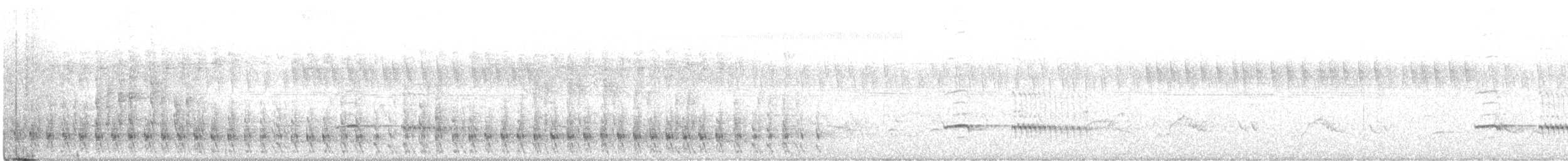 savanneskriketrost - ML470505131