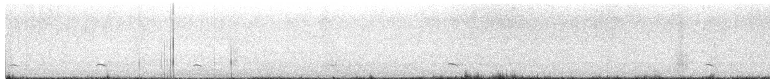 White-tailed Kite - ML470554861
