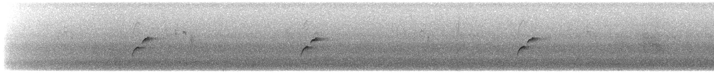 Batı Amerika Sinekkapanı (occidentalis/hellmayri) - ML470578941